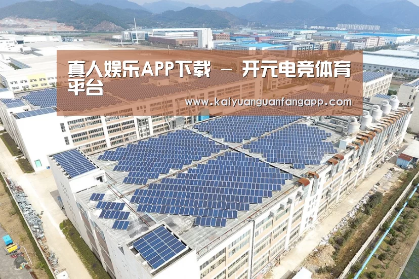 案例展示三