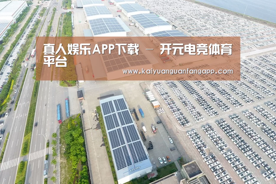 案例展示四
