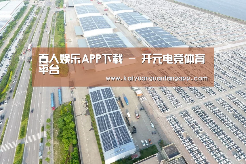 案例展示二