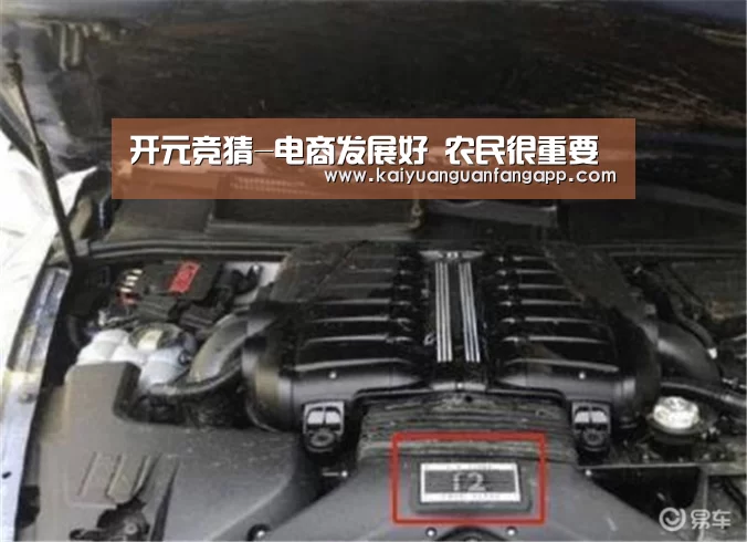 开元竞猜-电商发展好 农民很重要(图1) 开元官方
