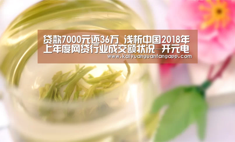 贷款7000元还36万 浅析中国2018年上年度网贷行业成交额状况-开元电竞(图4) 开元棋牌
