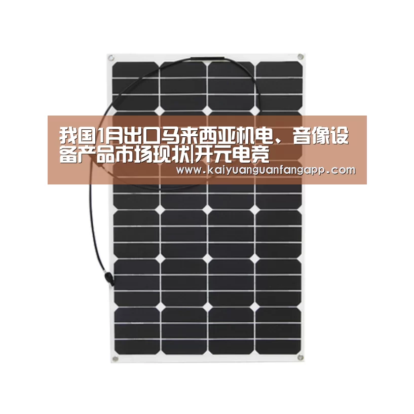 我国1月出口马来西亚机电、音像设备产品市场现状|开元电竞(图1) 开元电竞