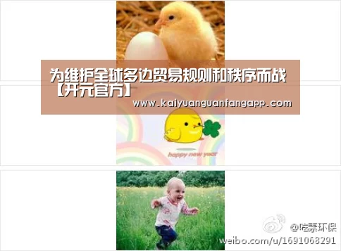 为维护全球多边贸易规则和秩序而战【开元官方】(图2) 开元竞猜