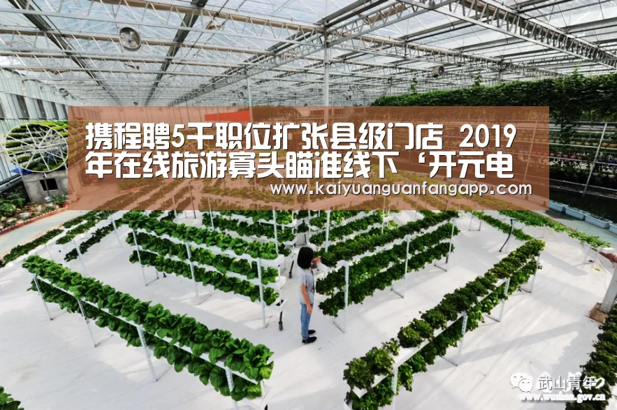 携程聘5千职位扩张县级门店 2019年在线旅游寡头瞄准线下‘开元电竞’(图3) 开元电竞